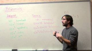 Free Math Lessons Classifying Polynomials