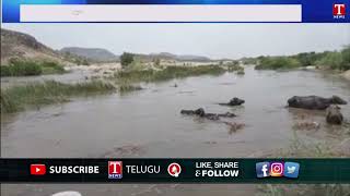 నాగర్ కర్నూల్ జిల్లా వ్యాప్తంగా భారీ వర్షాలు | Heavy Rain in Nagar Kurnool Dist | T News