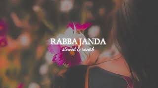Rabba Janda - Jubin Nautiyal ( Slowed + Reverb ) Lofi Song | HB LOFI