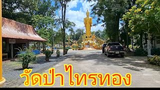 วัดป่าไทรทอง วัดสวยริมทาง อำเภอปราสาท จังหวัดสุรินทร์