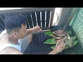 Bakar Ikan Sardin bersama Pansuh Ayam Pencen // Resepi Borneo Sarawak