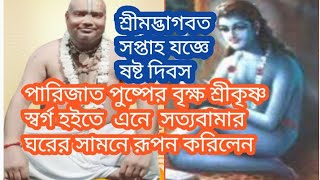 পারিজাত পুষ্পের বৃক্ষ শ্রীকৃষ্ণ স্বর্গ হইতে  এনে  সত্যবামার ঘরের সামনে রূপন করিলেন