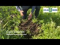 biological farming online course lesson what is healthy soil