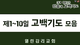 새로운 피조물 고백기도 모음(1) 제1일~10일(240115)