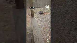 Viewer Captures Hailstorm In Trinity Texas