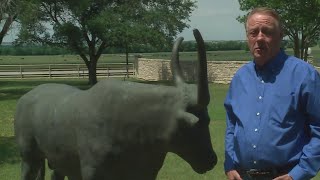 Central Texas rancher offers Elon Musk free land to move Twitter here