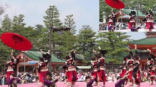 演舞 京都西陣よさこい鳴子踊りチーム阿国 第十五回京都さくらよさこい  kyoto 日本「京都府」のイベント・祭事・神事・法要・芸能・文化・歴史 No.2019018