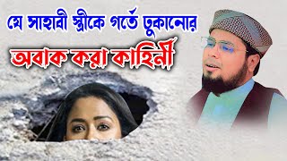 যে সাহাবী স্ত্রীকে গর্তে ঢুকানোর ঘটনা,মুফতি দেলোয়ার হোসাইন তাহেরপুরী।mufti delowar hossain taherpuri