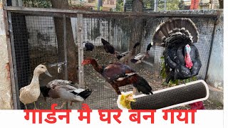 Finally murgi ka ghar ban gya// Bahut paysa lag gya #duck #aseel #vlogs