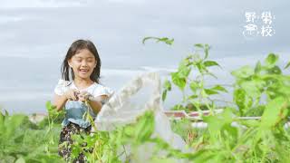 一顆改變改變台灣食農環境的黃豆 | 野學校-食農教育基地創育計劃