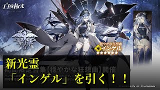 【白夜極光】新光霊の「インゲル」を引く！【ガチャ】