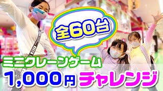 ミニクレーンゲーム1000円チャレンジ ✨  三姉妹はいくつ取れるかな❓【全60台】☆ Saaaaaya