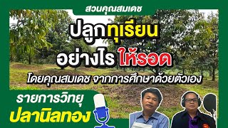 วิทยุปลานิลทองออนไลน์ ตอน ปลูกทุเรียนอย่างไรให้รอด โดยคุณสมเดช จากการศึกษาด้วยตัวเอง