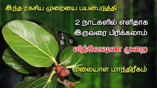 இருவரை 2 நாட்களில் பிரிக்க | ரகசிய மலையாள மாந்திரீக வித்தை | வித்வேஷன முறை | ஆண் பெண் பிரிவு