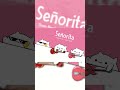 Señorita (cover by Bongo Cat) 🎧