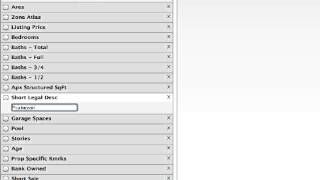 FlexMLS Wildcard Search