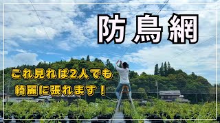 防鳥網の張り方解説！広範囲でも人数少なく綺麗に張れます！