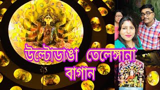 Telenga Bagan - Durga Puja 2019 || Best Pujo Theme 2019