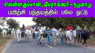 ETSS reckla race - வெள்ளகுப்பான்,பேராக்கூர் (நடுமாடு-18.01.2022) bulls race