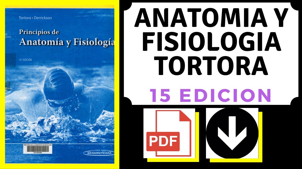 Descargar Anatomia Y Fisiologia Tortora 15 Edicion PDF - YouTube