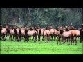 My Favorite Places: William L. Finley Wildlife Refuge near Corvallis, Oregon