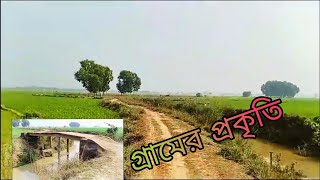 গ্রাম বাংলার প্রাকৃতিক দৃশ্য || bangladeshi gram vlogs