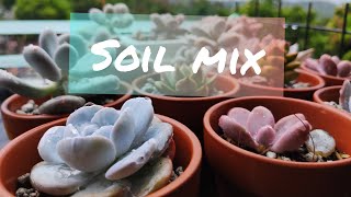 Mura pero epektib na Soil mix para sa mga succulents