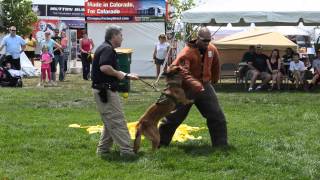 Fastest K9 Cop Units in the World by Aurora Police, CO Attack Criminal Training