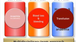 Patient Safety—Can We Afford Not to Do Patient Blood Management?
