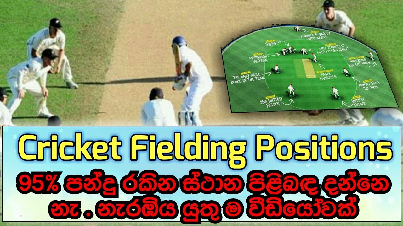 Cricket Fielding Positions - YouTube