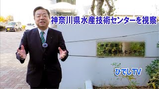 神奈川県水産技術センターを視察