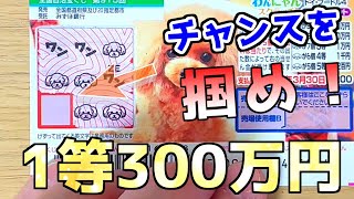 【相性抜群！】わんにゃんスクラッチトイ・プードル4のバラ購入でチャンス到来！前回越えの結果に歓喜！