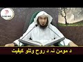 دمومن نه دروح ايستلو اويا روح څه شي ده ددې په باره کي معلومات.