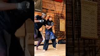 Pencak silat Martial arts techniques