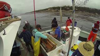 Rockfish Conservation Area (RCA) Survey