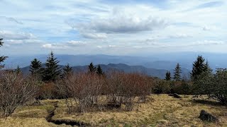 Hike to Andrews Bald in the Great Smoky Mountain's National Park, NC