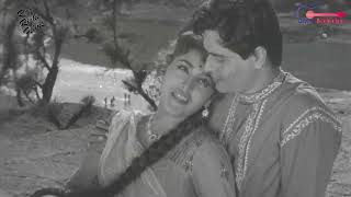 लताजी का सदाबहार गाना - Tere Sur Aur Mere Geet | तेरे सुर और मेरे गीत | Goonj Uthi Shehnai 1959 Film