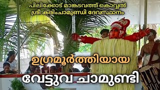 ഉഗ്രമൂർത്തിയായ വേട്ടുവ ചാമുണ്ടി/പിലിക്കോട് മാങ്കടവത്ത്കൊവ്വൽ ശ്രീ കരിംചാമുണ്ഡി ദേവസ്ഥാനം /കളിയാട്ടം