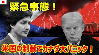 カナダ壊滅の危機！トランプ暴走で世界震撼！  最新ニュース 2025年2月5日!