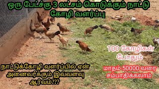 நாட்டு கோழி வளர்ப்பில் கொட்டி கிடக்கும் வருமானம்...   ஒரு பேட்ச்க்கு மூன்று இலட்சம் வரை...