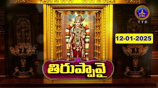 Dhanurmasotsavam || Tiruppavai || Tirumala || Day 28 || 12-01-2025 || SVBC TTD