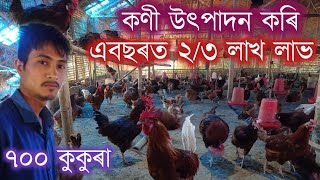 Chicken farm Assam // ৭০০ কুকুৰাৰ পৰা এবছৰত ৩ লাখ টকা উপাৰ্জন // Biki's vlog