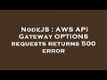 NodeJS : AWS API Gateway OPTIONS requests returns 500 error