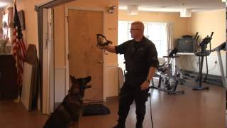 2691 1 K 9 UNIT DEMONSTRATION