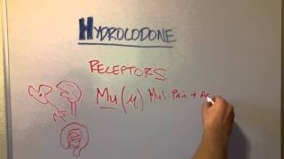 How Hydrocodone (and other opioids) Works