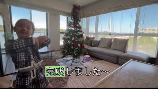 【HINANOちゃんねる】クリスマスツリー🎄を飾ってみたよ✨