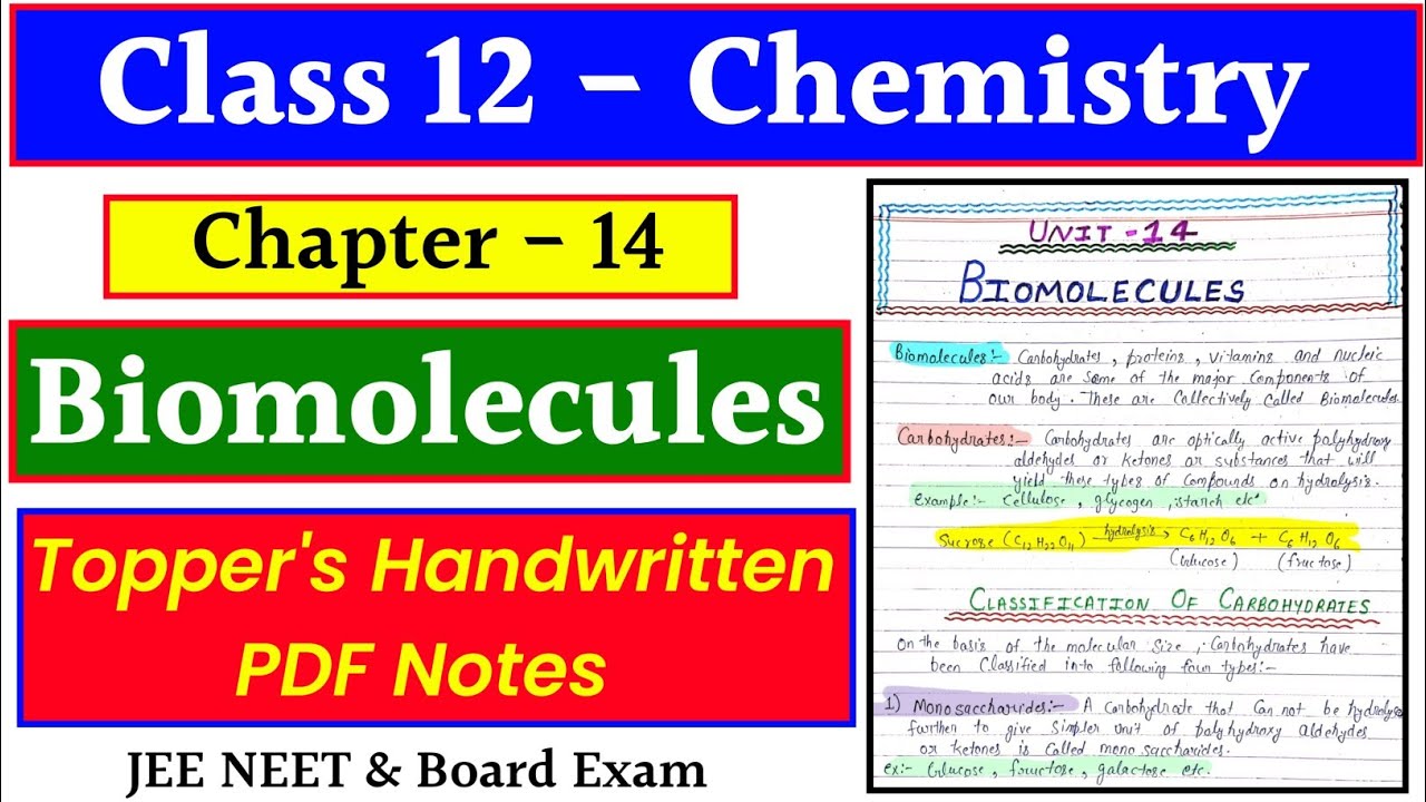 Biomolecules Jee Handwritten Notes At Rudolph Boer Blog