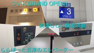 【先行公開|GRAND OPEN!!】ららぽーと沼津のエレベーター|7機まとめ/LaLaport Numazu Elevator