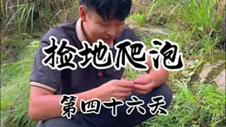 有多少人吃过这个东西？你们那里叫什么名字？大自然的馈赠 大山里的味道 山野自然 捡菌子 晓明回村