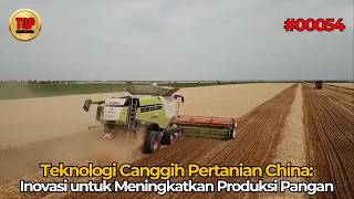 Teknologi Canggih Pertanian China: Inovasi untuk Meningkatkan Produksi Pangan